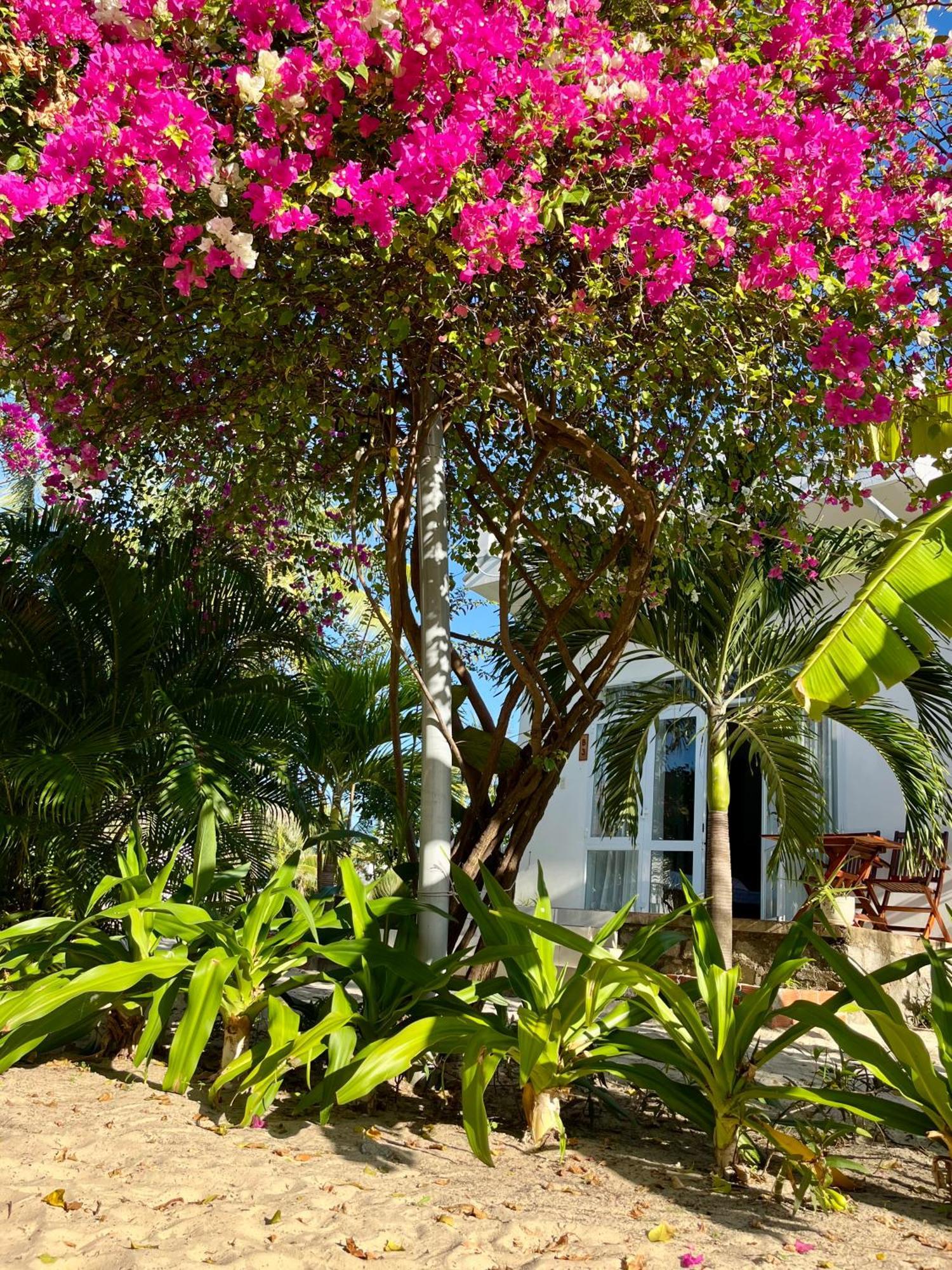 Timothe Beach Bungalow Song Cau Exterior photo